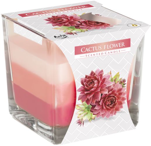 Rainbow Jar Candle - Cactus flower – House Of Essence
